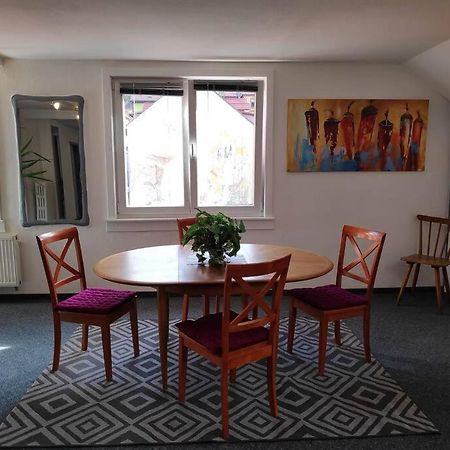 Grosse 130 M2 Gemuetliche Wohnung Im Herzen Tribergs Триберг Экстерьер фото