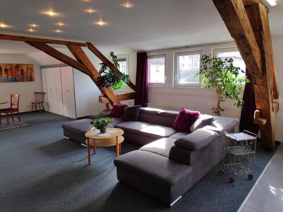 Grosse 130 M2 Gemuetliche Wohnung Im Herzen Tribergs Триберг Экстерьер фото