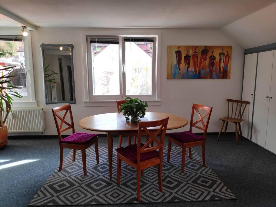 Grosse 130 M2 Gemuetliche Wohnung Im Herzen Tribergs Триберг Экстерьер фото