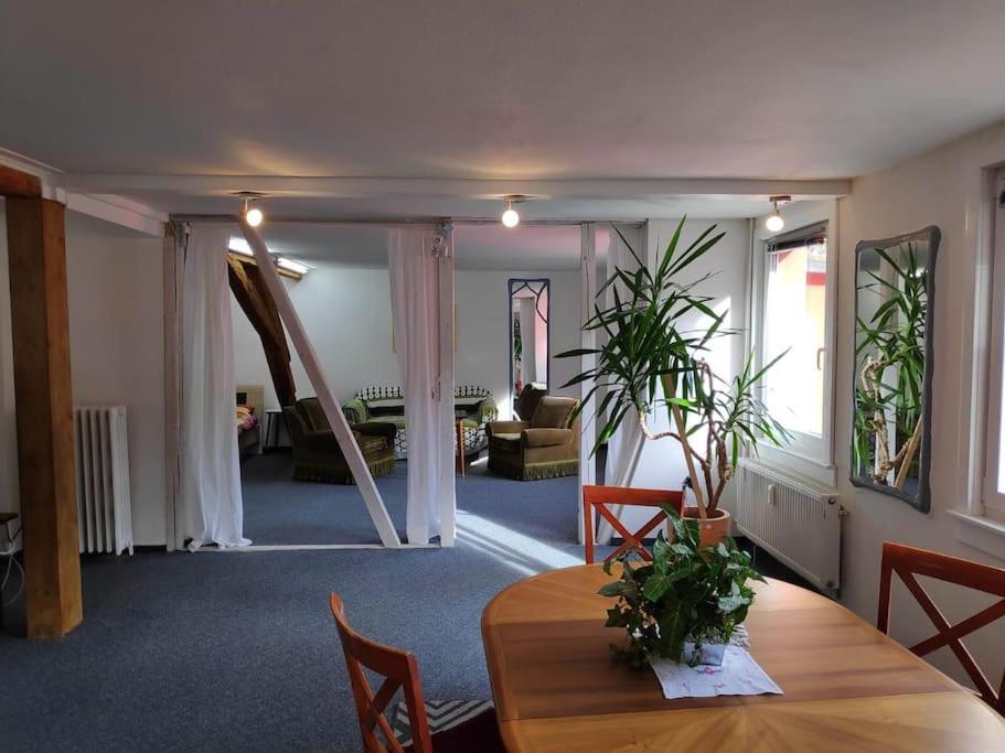 Grosse 130 M2 Gemuetliche Wohnung Im Herzen Tribergs Триберг Экстерьер фото
