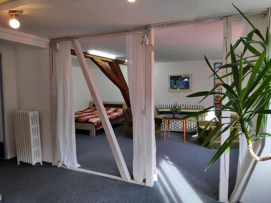 Grosse 130 M2 Gemuetliche Wohnung Im Herzen Tribergs Триберг Экстерьер фото