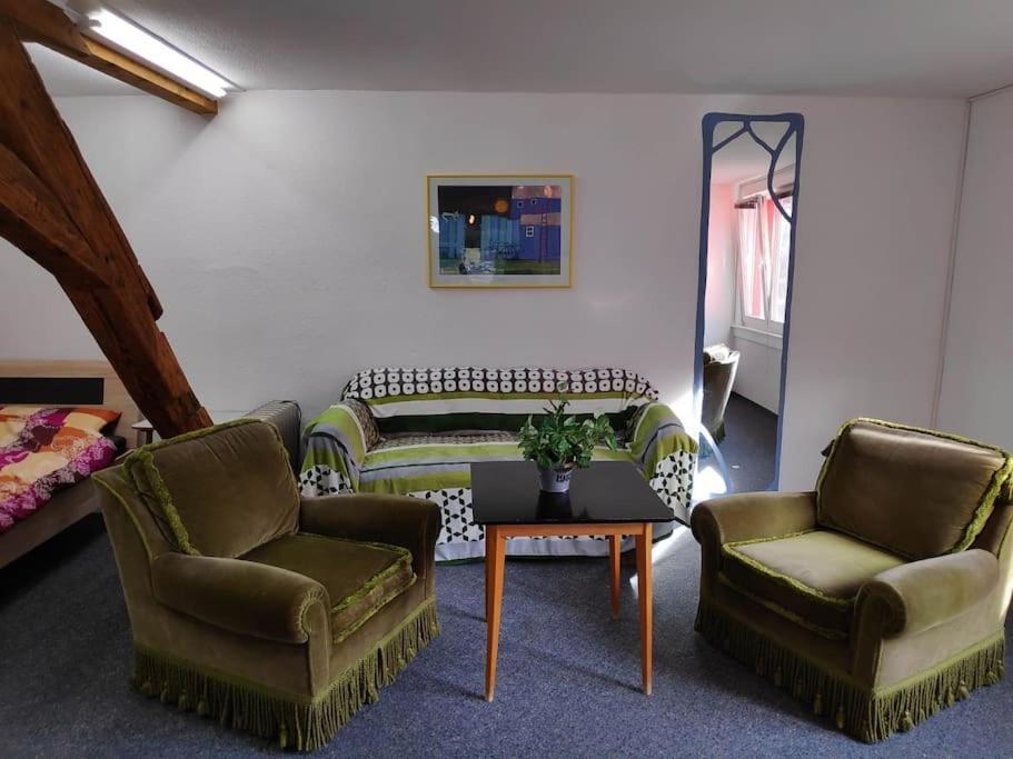 Grosse 130 M2 Gemuetliche Wohnung Im Herzen Tribergs Триберг Экстерьер фото