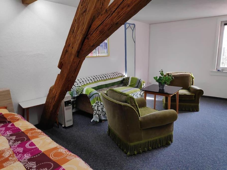 Grosse 130 M2 Gemuetliche Wohnung Im Herzen Tribergs Триберг Экстерьер фото