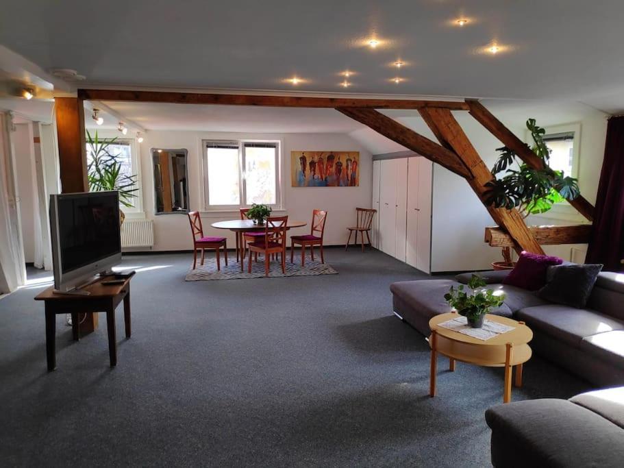 Grosse 130 M2 Gemuetliche Wohnung Im Herzen Tribergs Триберг Экстерьер фото
