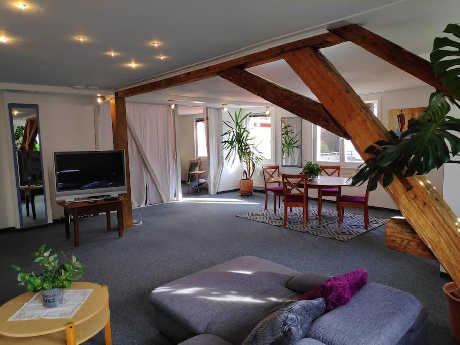 Grosse 130 M2 Gemuetliche Wohnung Im Herzen Tribergs Триберг Экстерьер фото